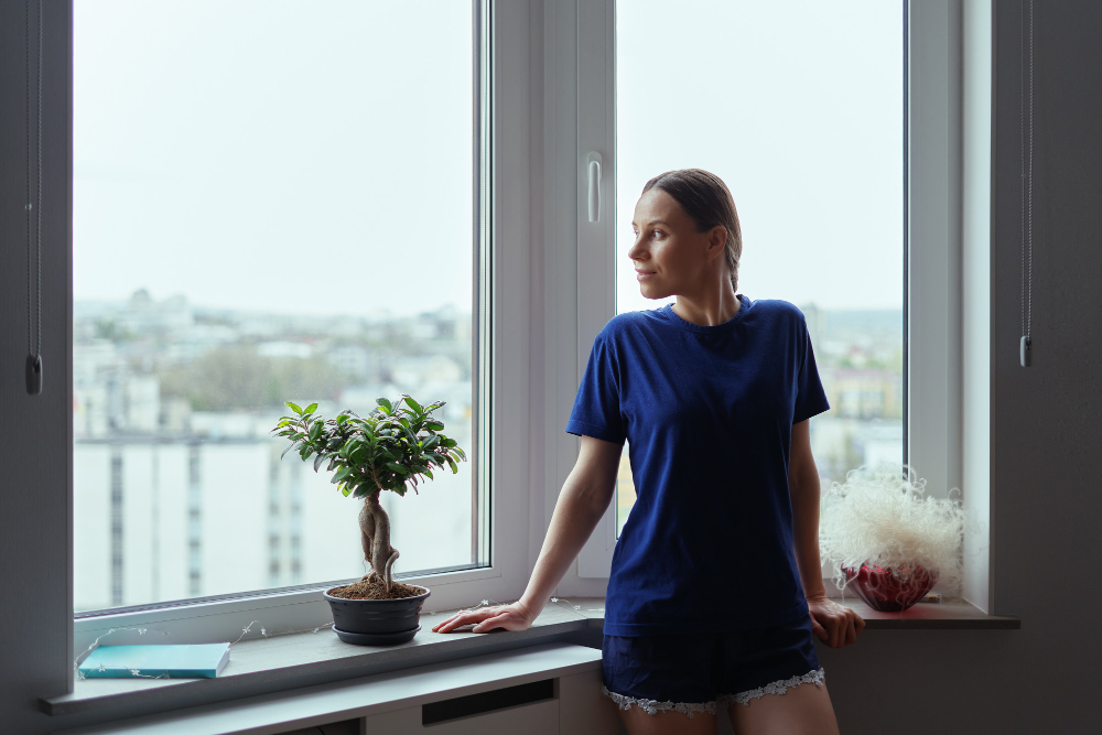 Youngstown Vinyl Windows